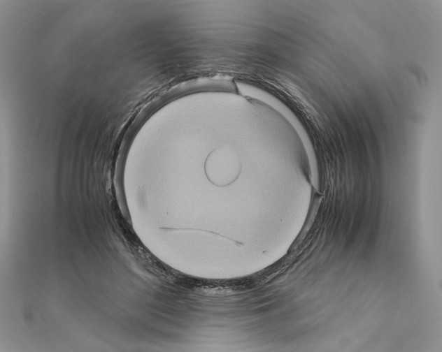 X0000110970500200907310932