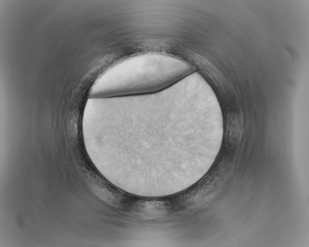 X0000110970501200907310932