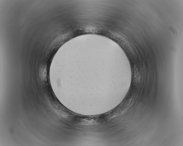 X0000110970502200907310932