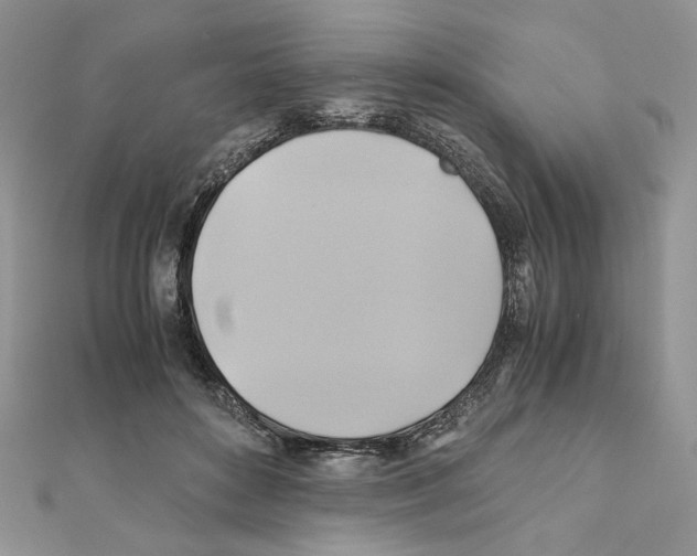 X0000110970504200907310932