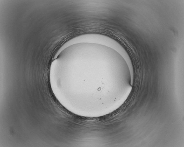 X0000110970505200907310932