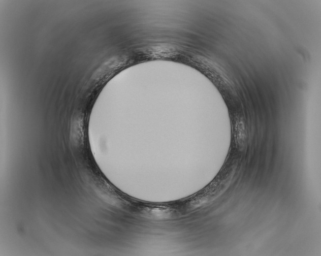 X0000110970506200907310932