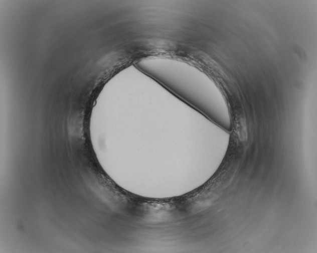 X0000110970512200907310932