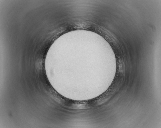 X0000110970514200907310932