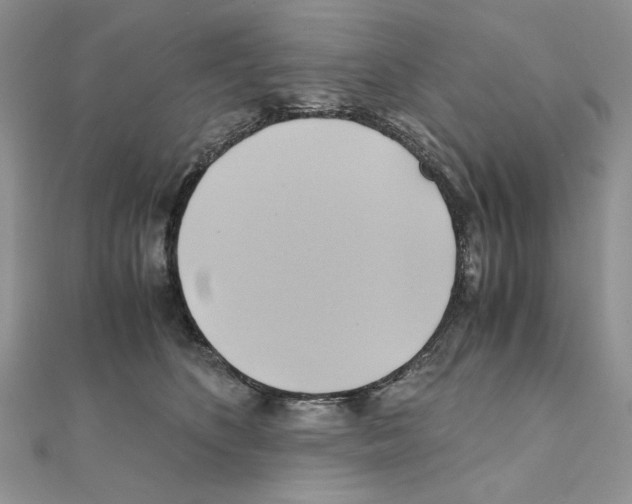 X0000110970516200907310932