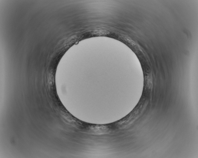 X0000110970517200907310932