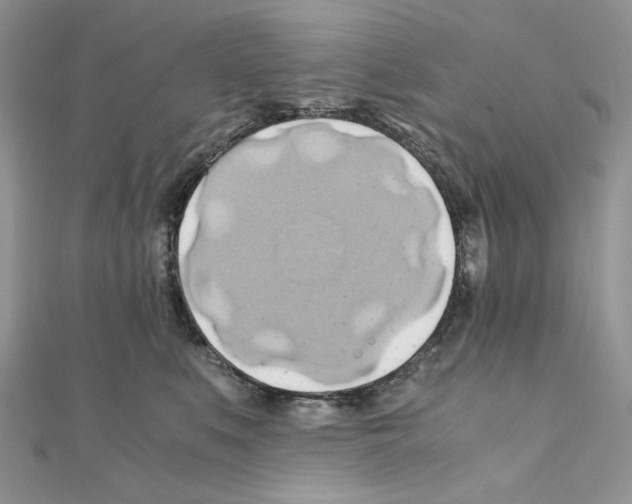 X0000110970519200907310932