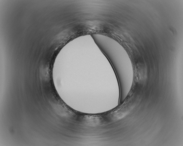 X0000110970520200907310932