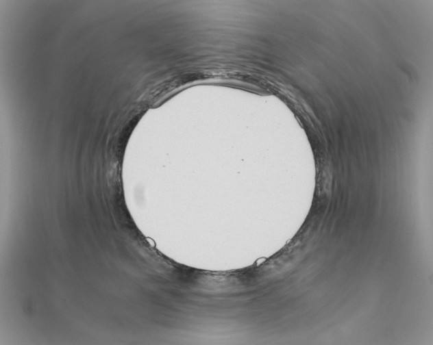 X0000110970521200907310932