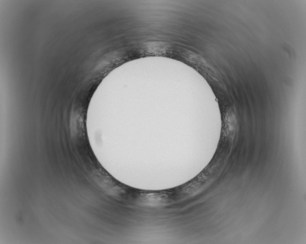 X0000110970522200907310932