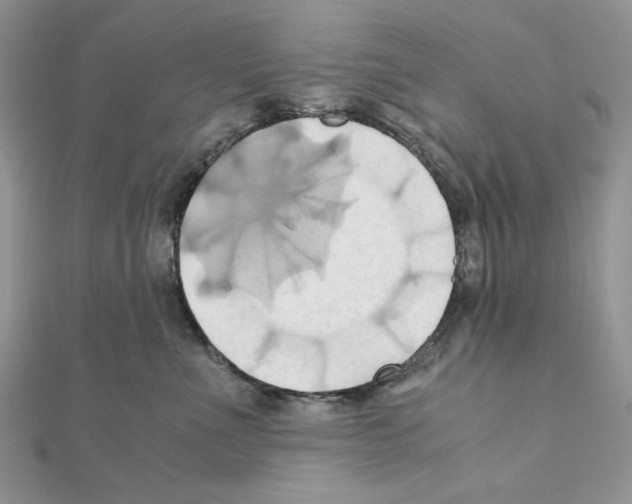 X0000110970523200907310932