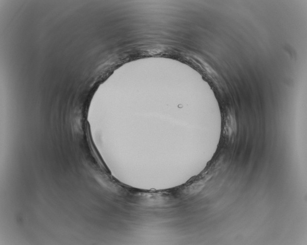 X0000110970524200907310932