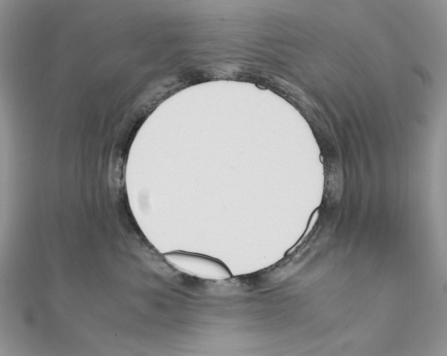 X0000110970525200907310932