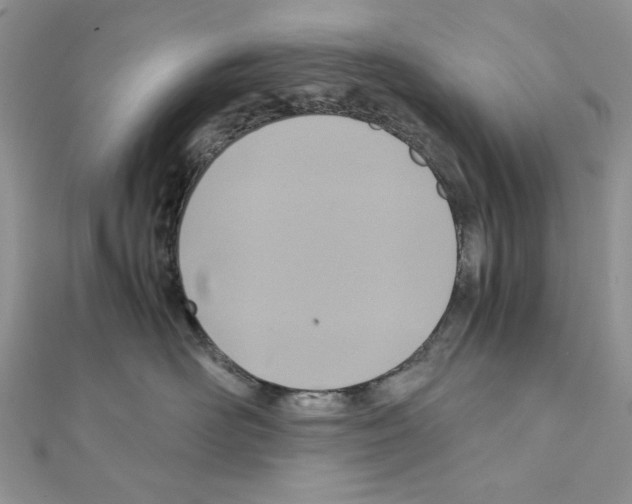 X0000110970526200907310932