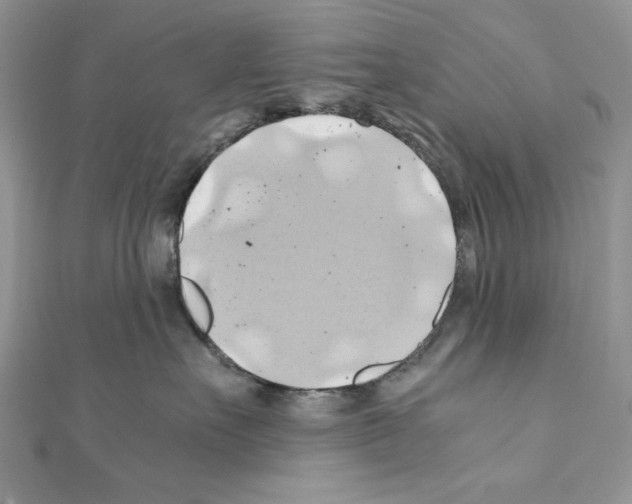 X0000110970527200907310932