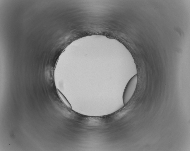 X0000110970528200907310932
