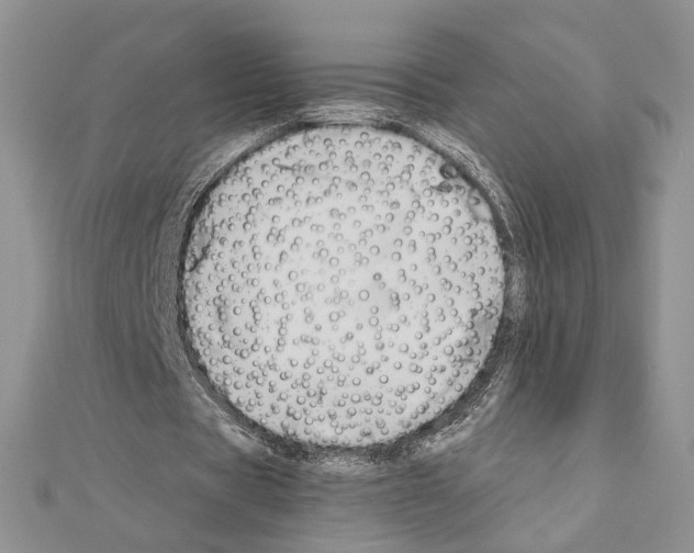 X0000110970529200907310931
