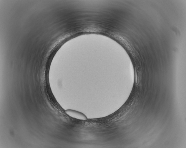 X0000110970531200907310931