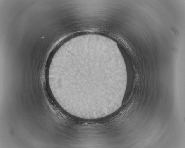 X0000110970532200907310931
