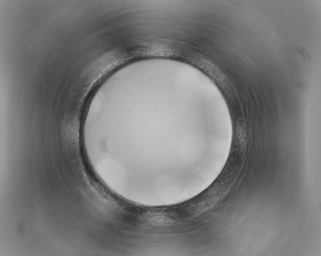 X0000110970534200907310931