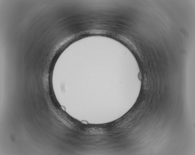 X0000110970535200907310931