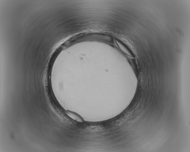 X0000110970536200907310931