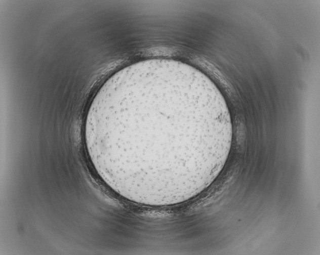 X0000110970537200907310931