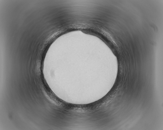 X0000110970538200907310931