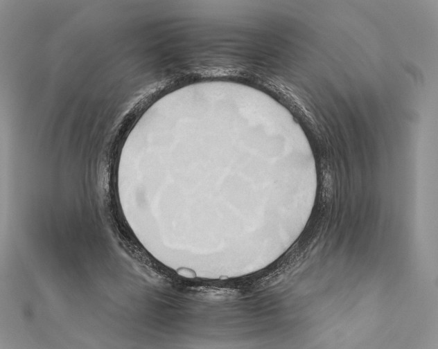 X0000110970539200907310931
