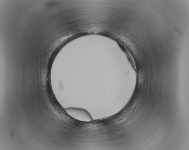 X0000110970540200907310931