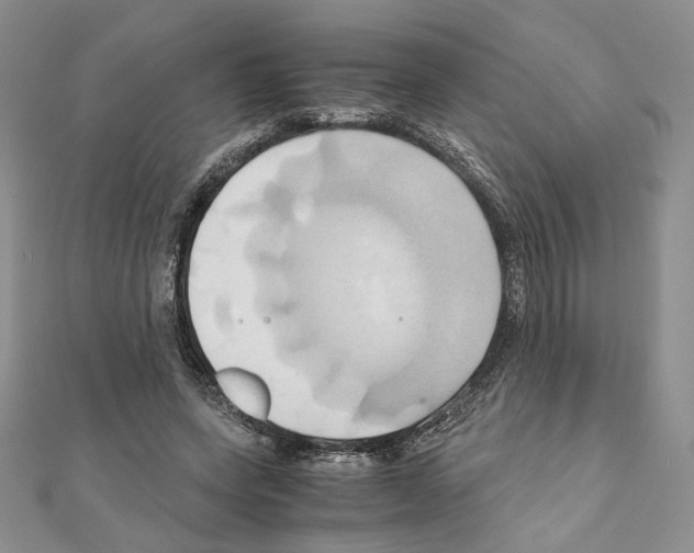 X0000110970543200907310931