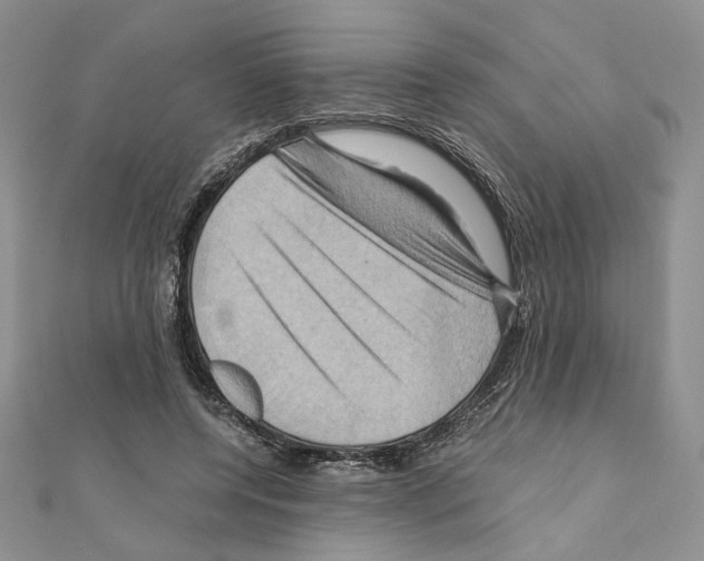 X0000110970544200907310931