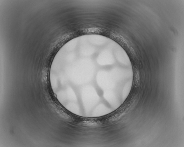 X0000110970545200907310931