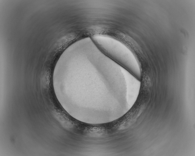 X0000110970546200907310931