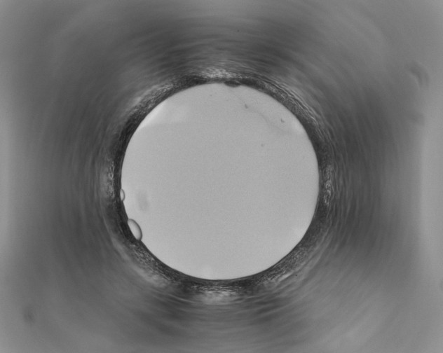 X0000110970547200907310931