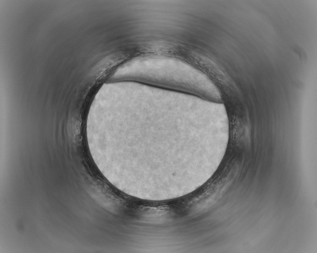 X0000110970548200907310931