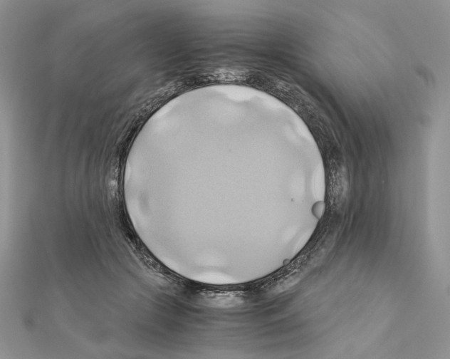 X0000110970553200907310931