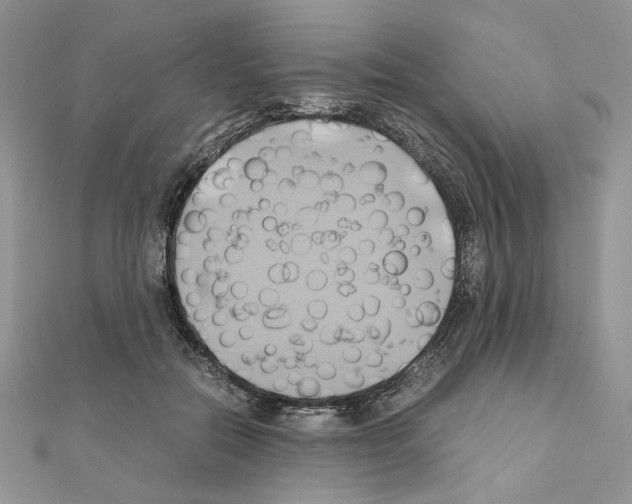 X0000110970554200907310931
