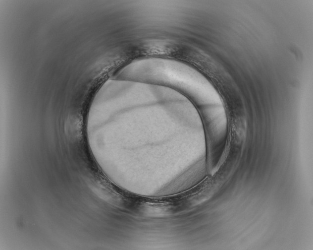 X0000110970556200907310931