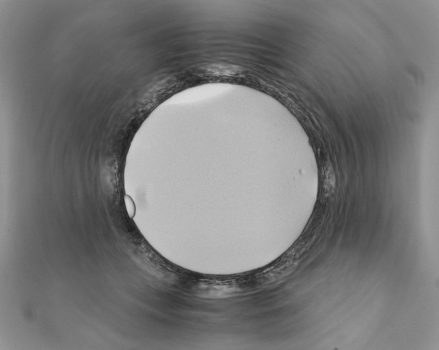 X0000110970559200907310931