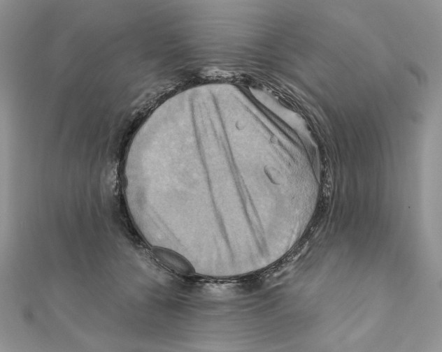 X0000110970560200907310931