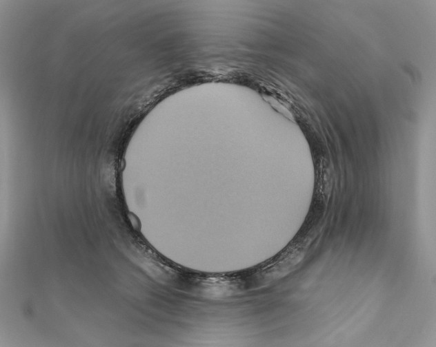 X0000110970562200907310931