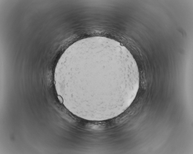 X0000110970563200907310931