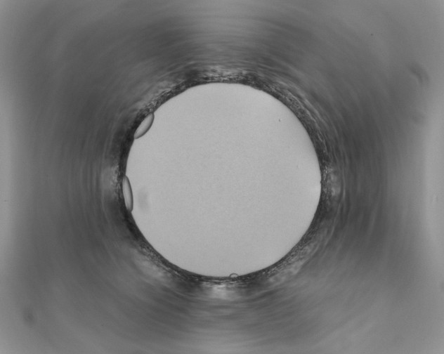 X0000110970564200907310931