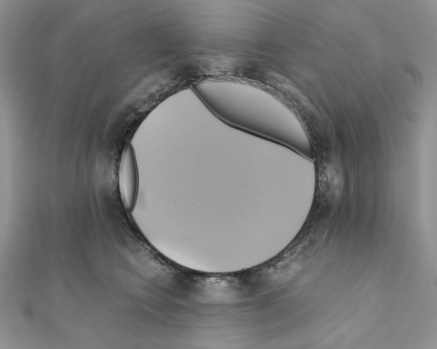 X0000110970566200907310931