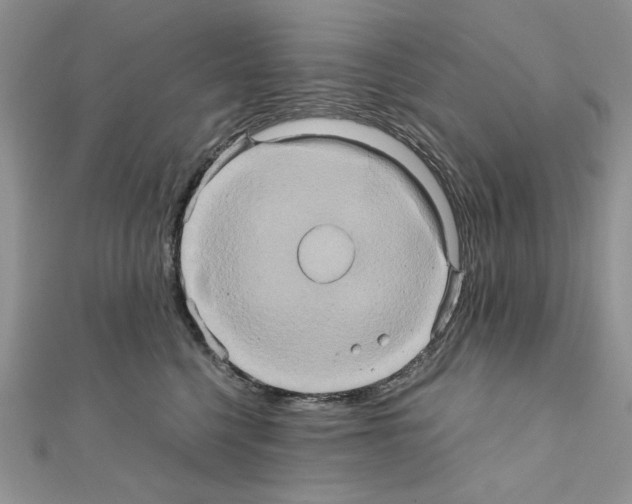 X0000110970568200907310931