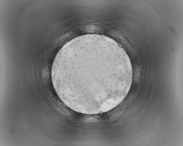 X0000110970569200907310931