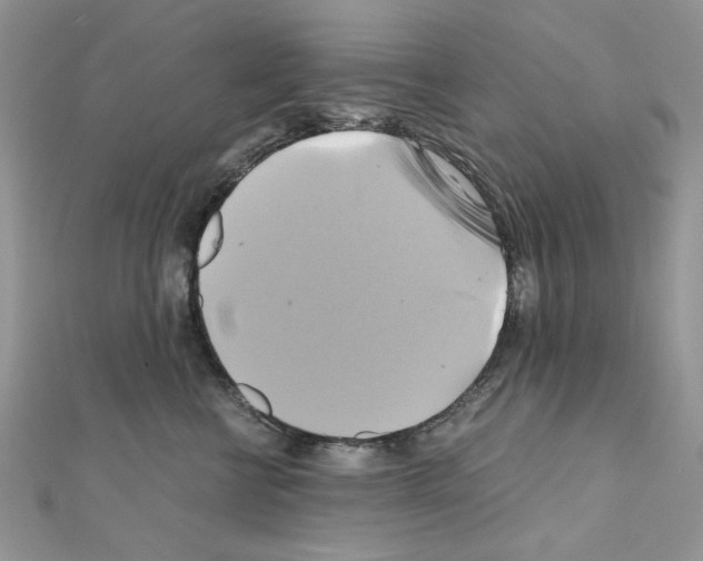 X0000110970570200907310931