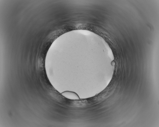 X0000110970571200907310931