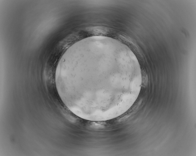 X0000110970573200907310931